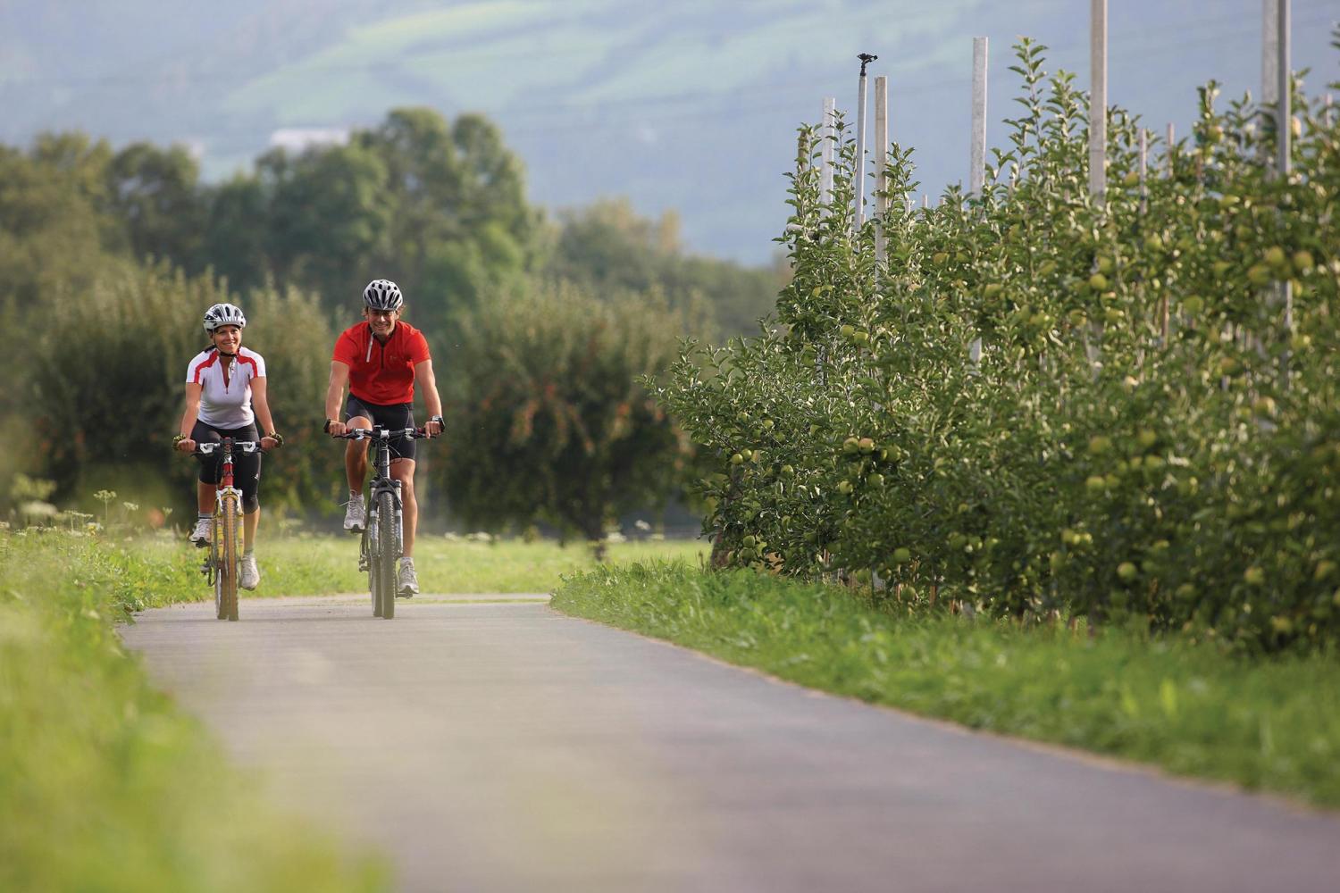 Radwege durch Apfelplantagen im Meraner Land 